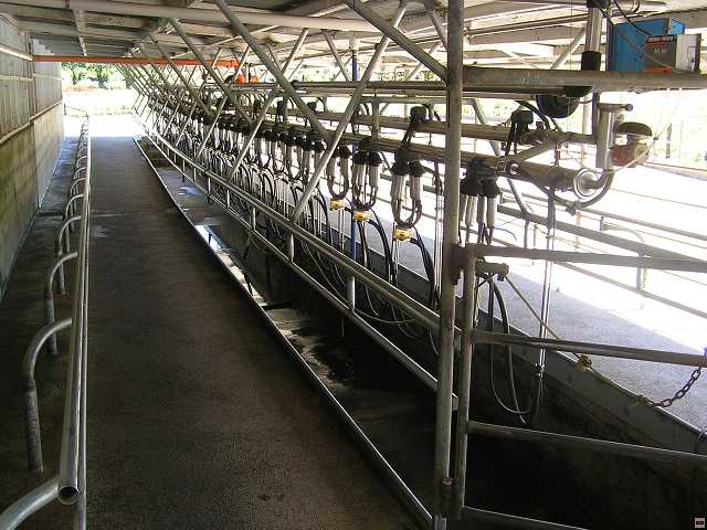NZ leden-unor 2006 096.jpg